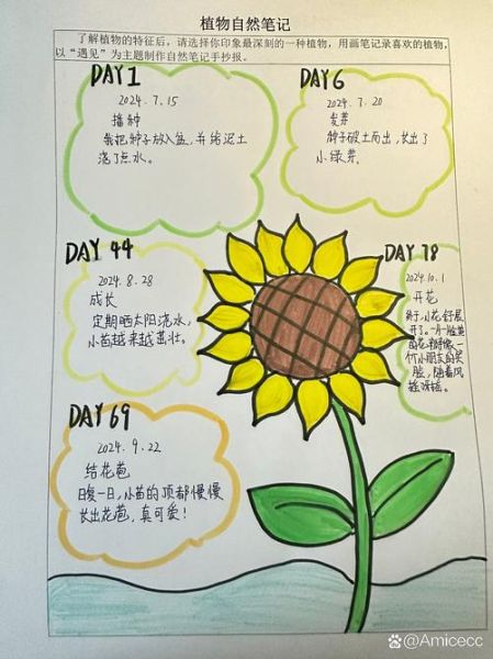 动植物百科读书笔记_如何快速掌握动植物分类