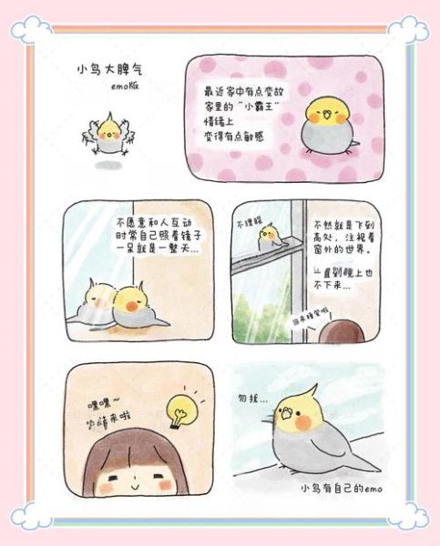 小鸟为什么一直叫_如何分辨小鸟情绪