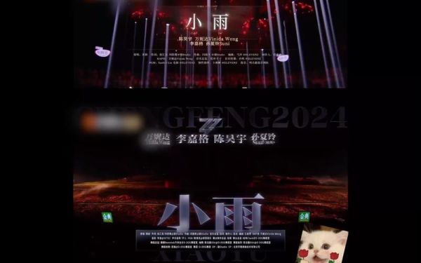 小雨歌曲表达什么情感_如何听懂