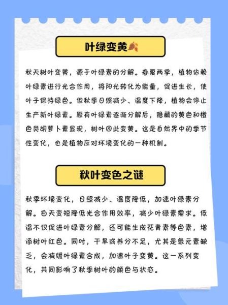 树叶为什么会变黄_树叶代表什么情感