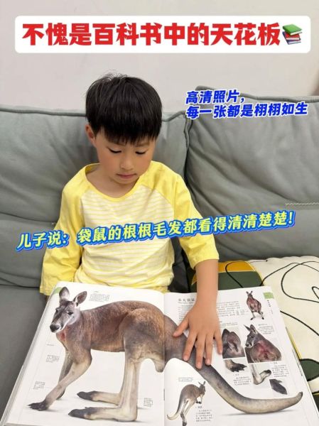 dk博物大百科适合几岁读_雨果读书体验如何