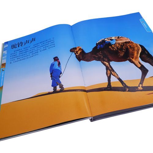 少儿百科全书怎么读_如何选书