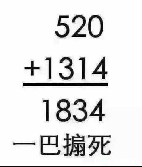 520_1314代表什么含义