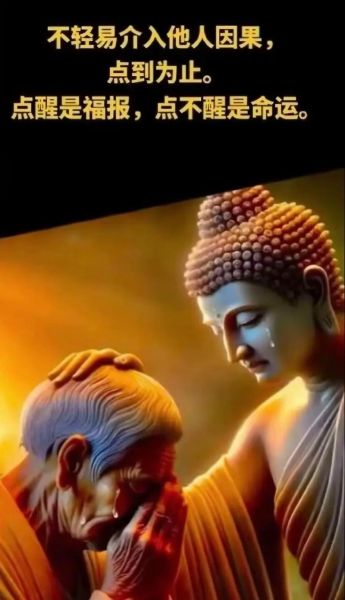 参悟歌曲表达了什么情感_如何理解参悟歌词含义