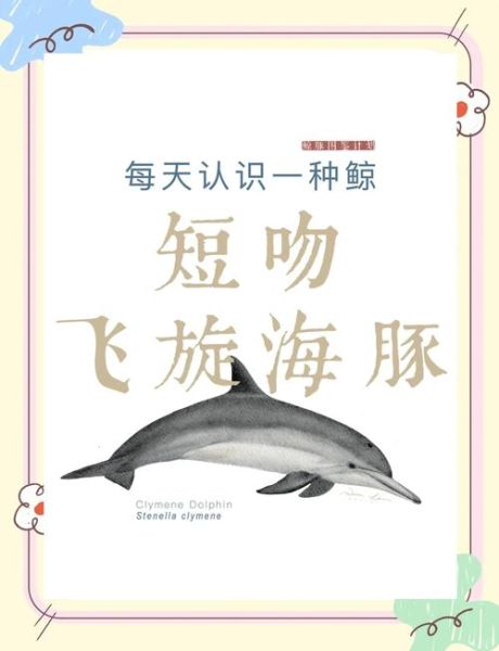 海豚怎么表达情感_海豚情感表达方式有哪些