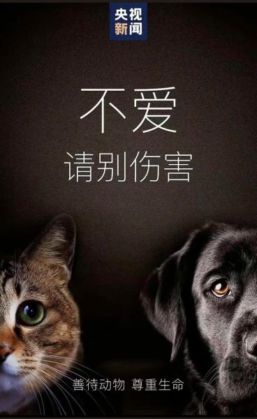 动物会哭吗_人类情感与动物共情