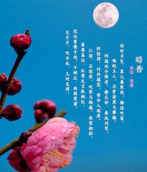 暗香表达的情感是什么_如何运用暗香意象