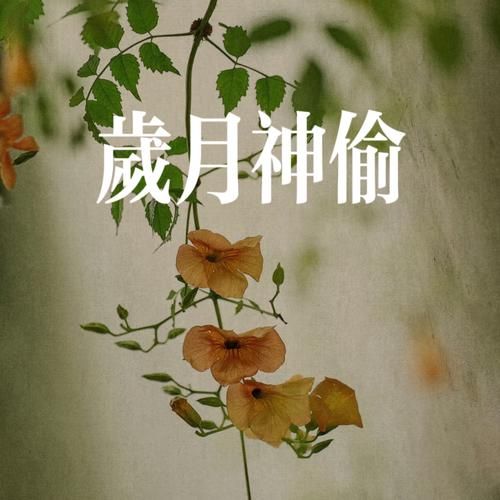 岁月神偷表达了什么情感_如何理解岁月神偷的情感内核