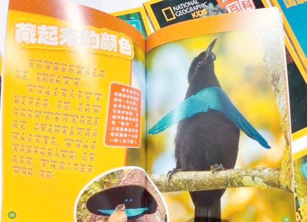 世界地理百科适合孩子读吗_如何挑选版本