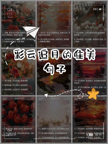 彩云追月表达了什么情感_如何理解其中意境