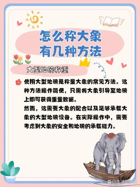 大象怎么表达情感_大象的情感表达方式有哪些