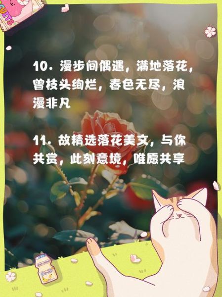 落花表达什么情感_如何借落花抒情