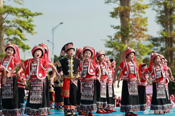 哈尼歌曲表达什么情感_如何听懂哈尼情歌