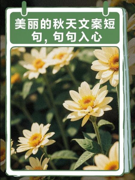 秋天怎么表达情感_秋天情感文案怎么写