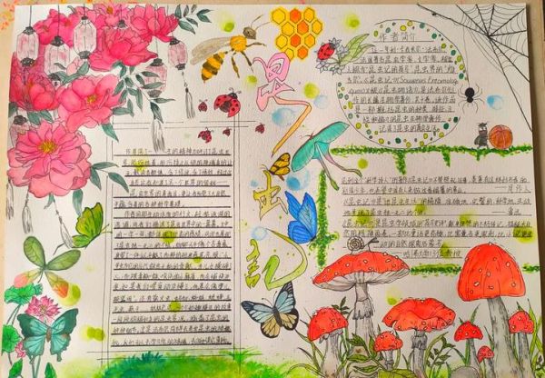 昆虫百科读书小报怎么做_昆虫记手抄报内容怎么写