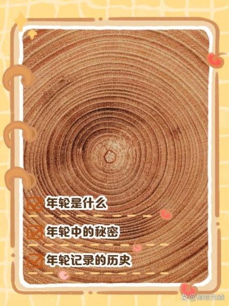 年轮怎么表达情感_树木年轮记录情感吗