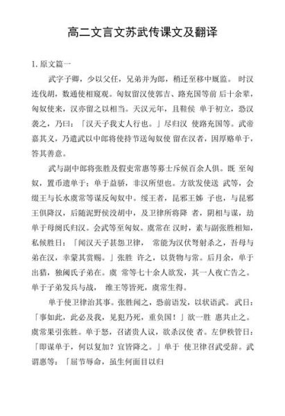 苏武传情感表达_苏武精神为何感人