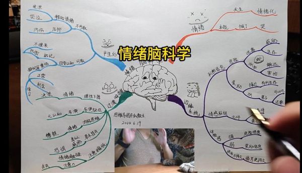大脑如何影响情绪_心理学解释情绪调节机制