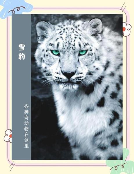 雪豹如何表达情感_雪豹情绪信号有哪些