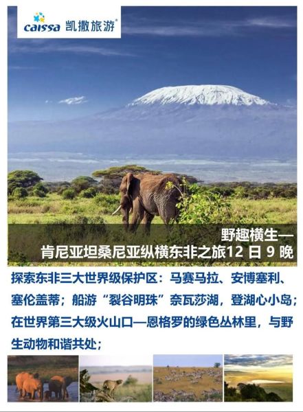 动物迁徙路线_为什么不会迷路