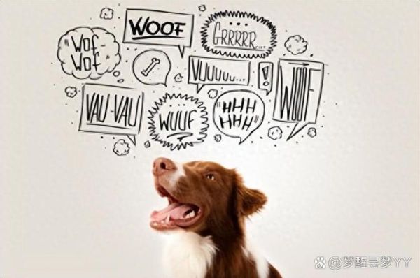 狗狗情感表达画作_如何看懂