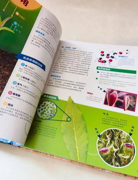 植物大百科适合初学者吗_如何高效阅读植物大百科