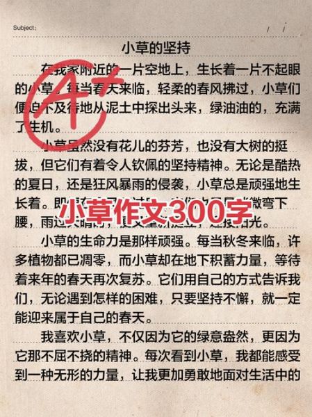 小草如何表达情感_小草象征什么意义