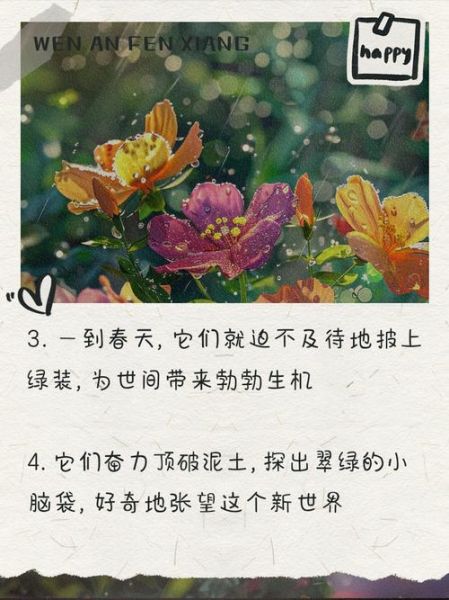 小草如何表达情感_小草象征什么意义
