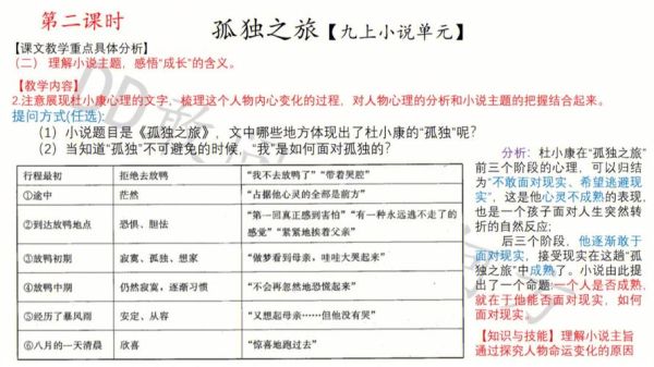 孤独之旅表达什么情感_如何写出共鸣