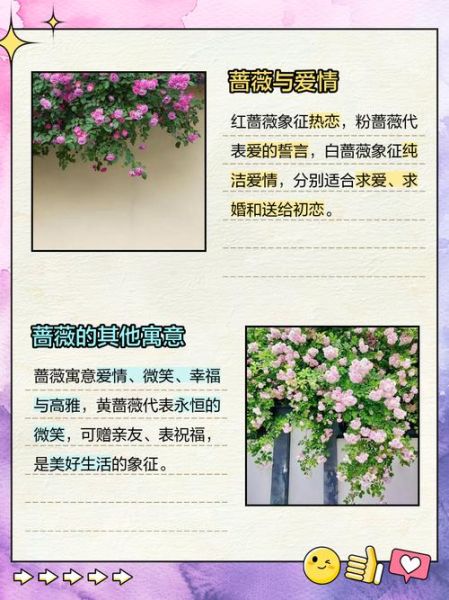 蔷蔷情感表达_如何正确传达爱意