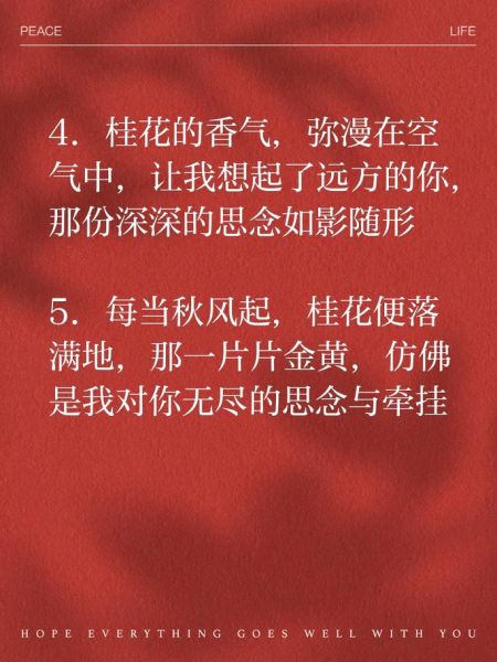 桂花的花语是什么_如何用桂花表达思念