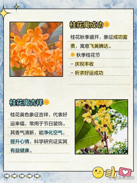 桂花的花语是什么_如何用桂花表达思念