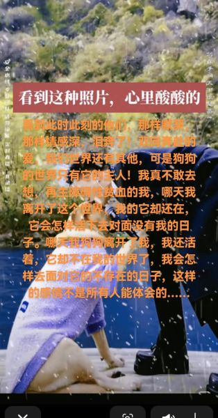 情感类节目如何打动人心_观众为何反复泪目