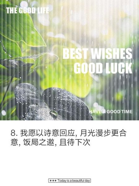 月光漫步如何表达情感_月光漫步情感文案怎么写