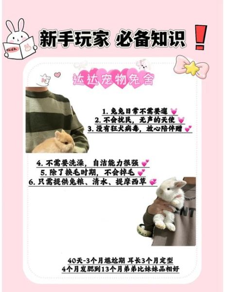 兔子怎么养_新手养兔注意事项