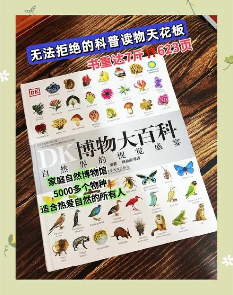 DK博物大百科适合多大孩子_如何高效阅读DK博物大百科