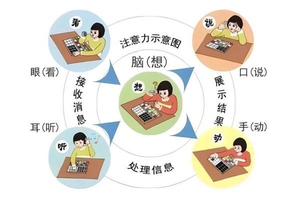 儿童认知心理学_如何培养注意力