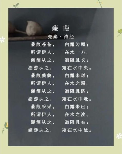 蒹葭表达了什么情感_诗经蒹葭的情感内涵