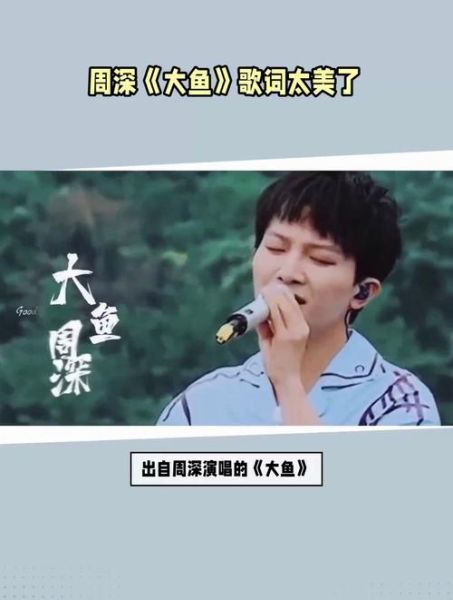大鱼音乐表达什么情感_如何听懂周深空灵嗓音