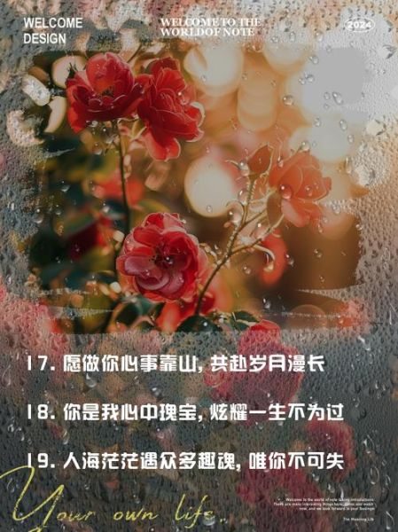 敬你情感表达_如何写走心的敬你文案