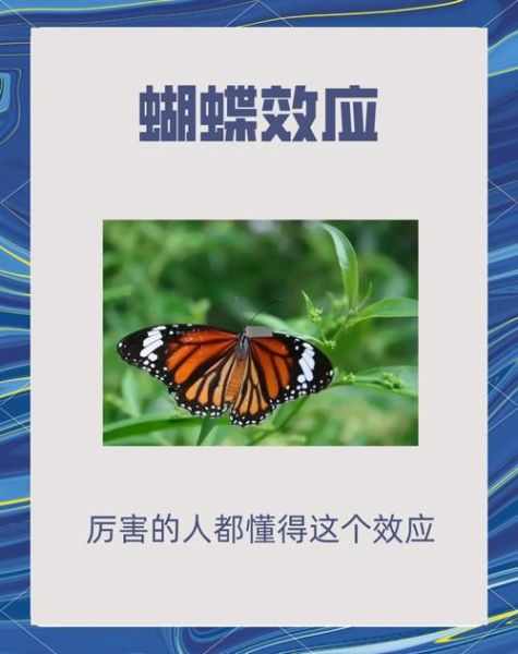 蝴蝶效应心理学_如何改变人生轨迹