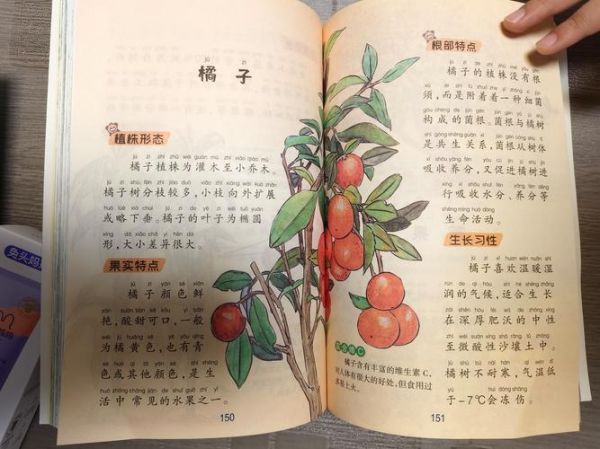 少儿百科读什么好_怎么读最有效