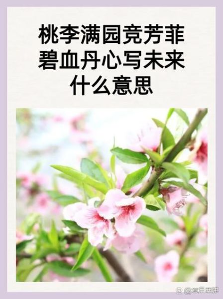 花团锦簇表达什么情感_花团锦簇的寓意是什么