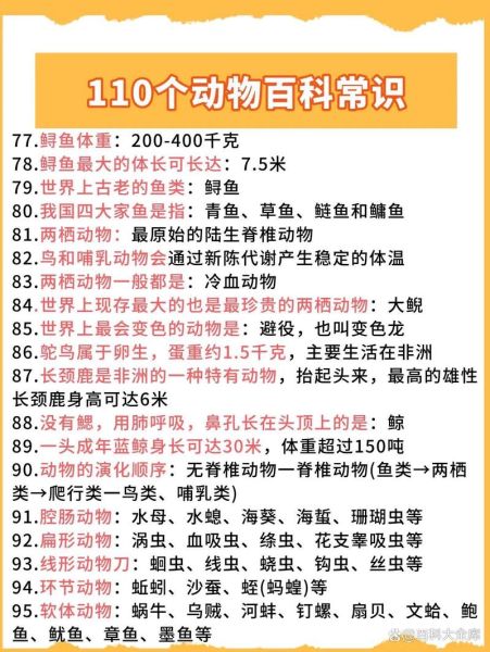 动物百科第一章讲了什么_如何快速抓住核心