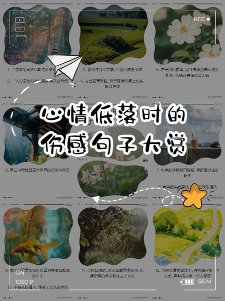 如何表达心情情感_心情低落怎么写