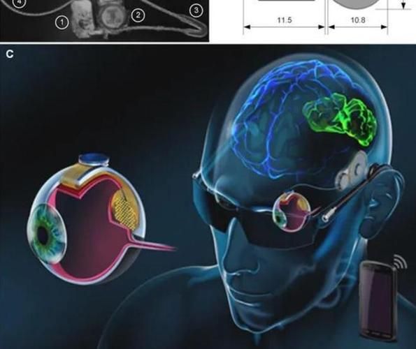 为什么眼睛会欺骗大脑_眼睛心理学如何影响决策