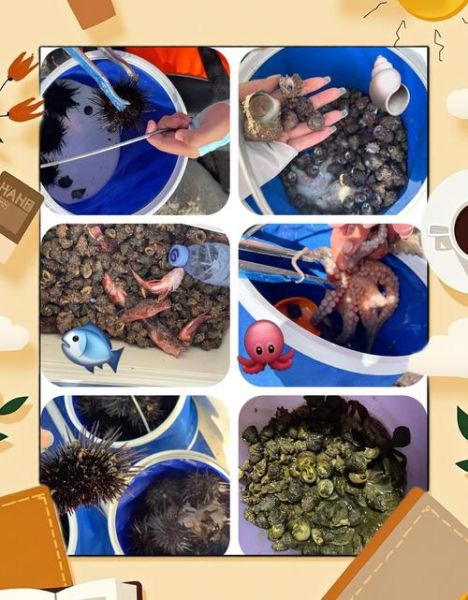 赶海为什么让人快乐_赶海表达了什么情感