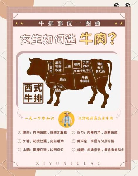 牛肉怎么表达情感_牛肉代表什么情感