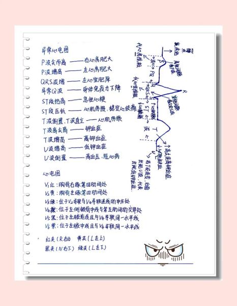 异常心理学考试怎么准备_异常心理学考试重点