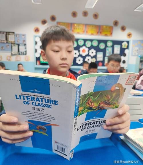 读书科普百科视频怎么做_如何高效做读书科普视频